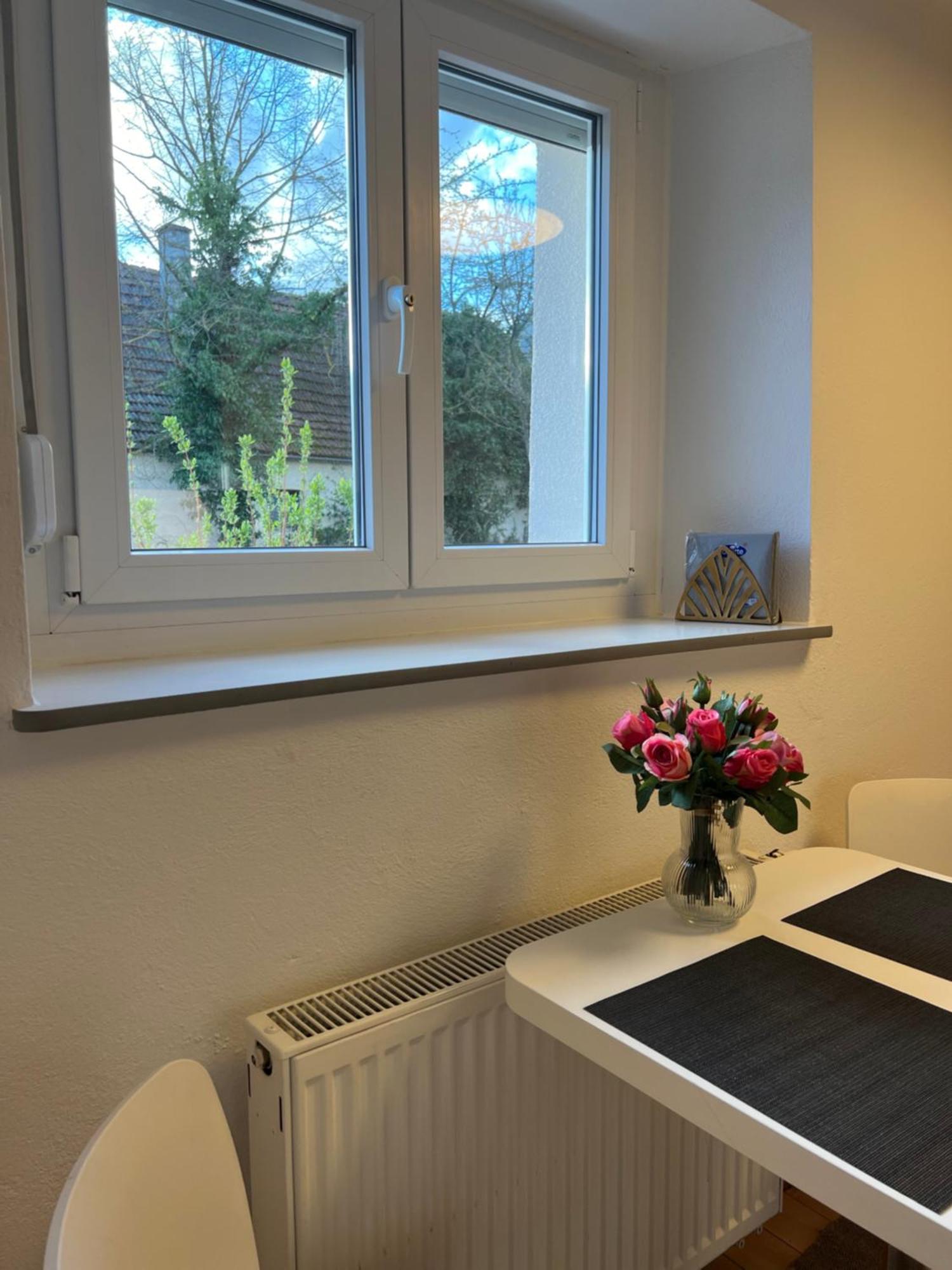 Wohnung Am Wasserschloss 罗滕多夫 外观 照片